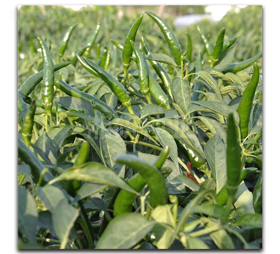 ����712-���콷�N��-���зN�I(y��)