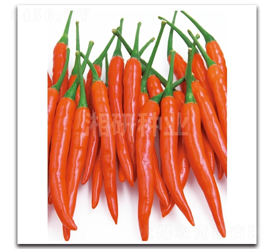 ���G��̖(h��o)-���콷�N��-���зN�I(y��)