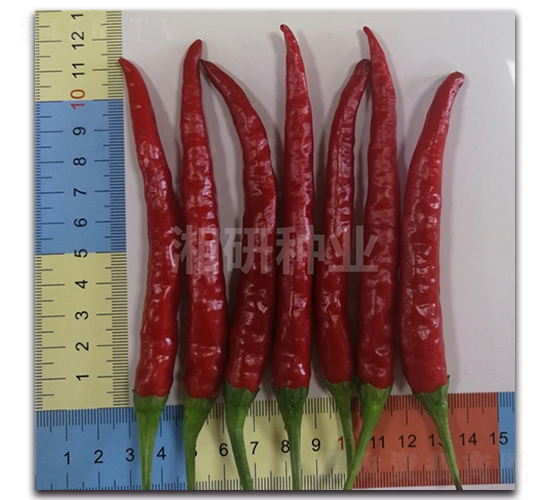 ����708-���콷�N��-���зN�I(y��)