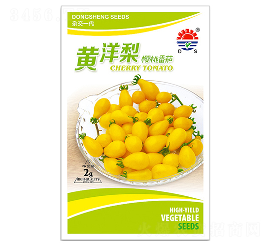 �|���S����-���ѷN��-�|���N�I(y��)