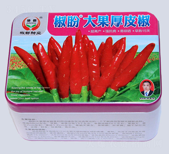 ���δ����Ƥ��-�����N��-�����N�I(y��)