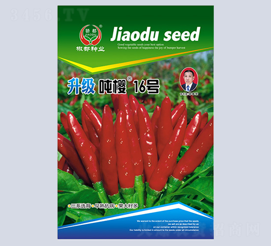 ����16̖(h��o)-�����N��-�����N�I(y��)