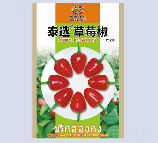 ̩�x��ݮ��-�����N��-�����N�I(y��)