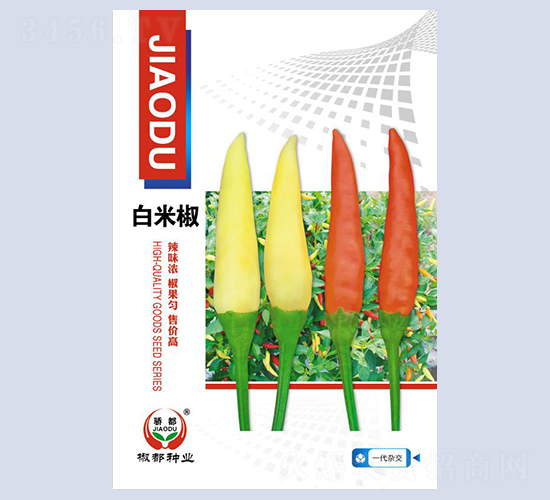 ���׽�-�����N��-�����N�I(y��)