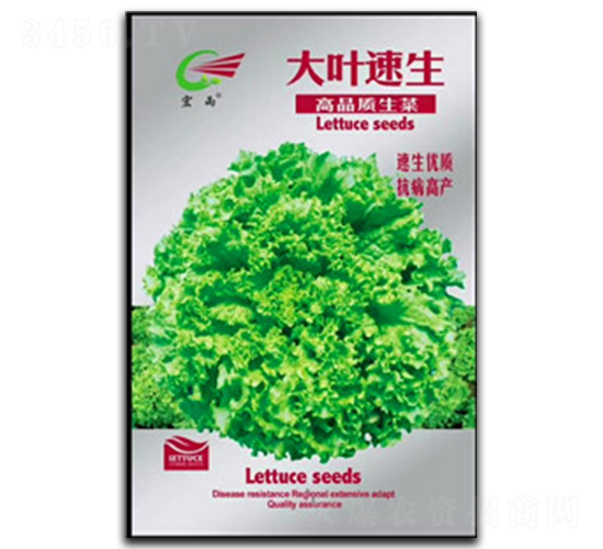 ���~����-���˷N��-����