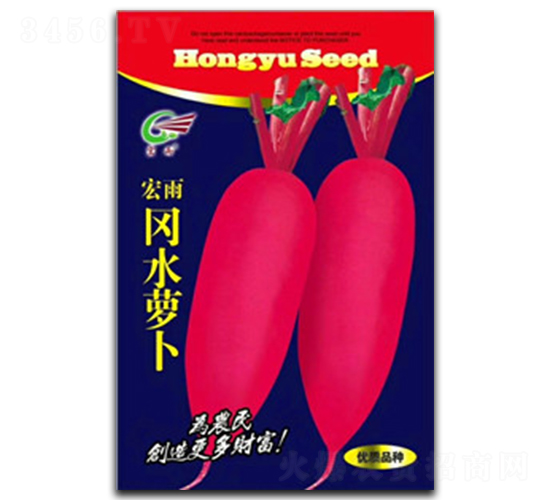 ��ˮ�}��-�}���N��-����