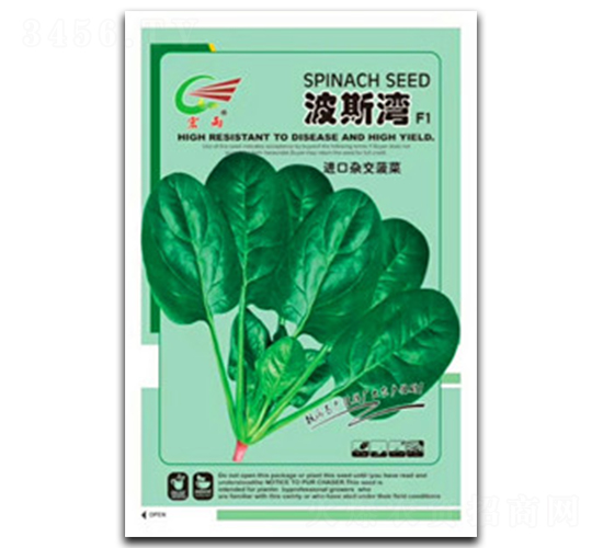 ��˹��-���˷N��-����