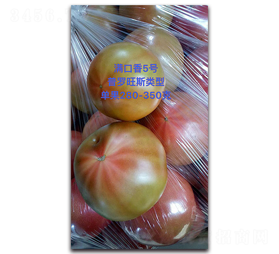 �M����5̖-���ѷN��-Ψ�r(n��ng)�N�I(y��)