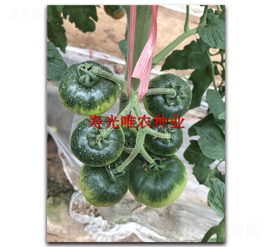 �M����4̖-���ѷN��-Ψ�r(n��ng)�N�I(y��)