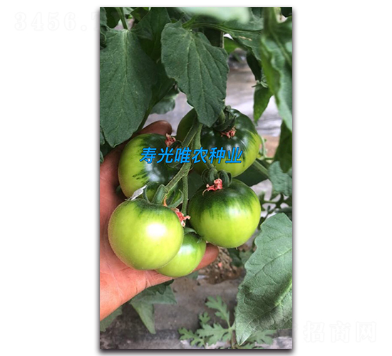 �M����3̖-���ѷN��-Ψ�r(n��ng)�N�I(y��)