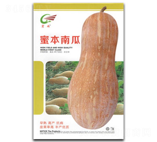 �۱��Ϲ�-�ϹϷN��-����