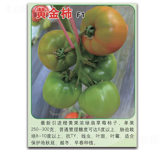 �S����-���ѷN��-Ψ�r(n��ng)�N�I(y��)