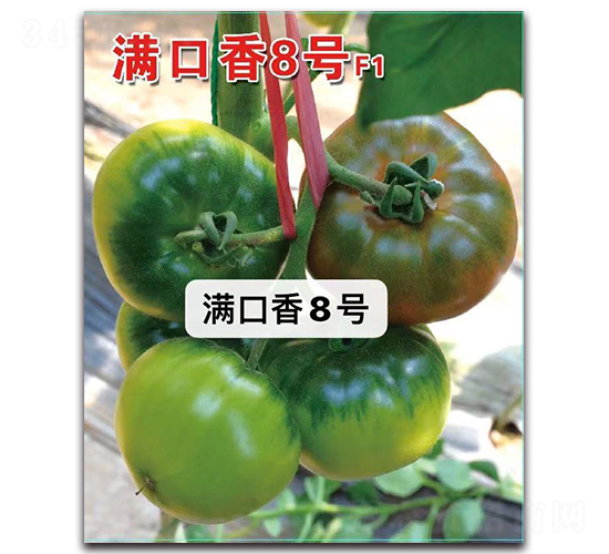 �M����8̖(h��o)-���ѷN��-Ψ�r(n��ng)�N�I(y��)