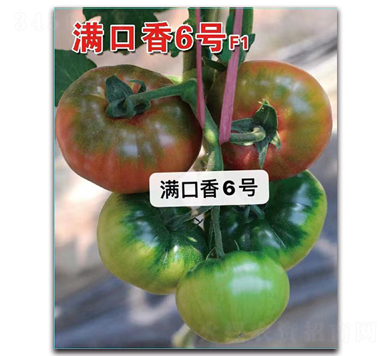 �M����6̖-���ѷN��-Ψ�r(n��ng)�N�I(y��)