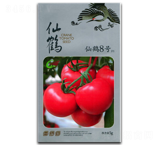 ���Q8̖-���ѷN��-����