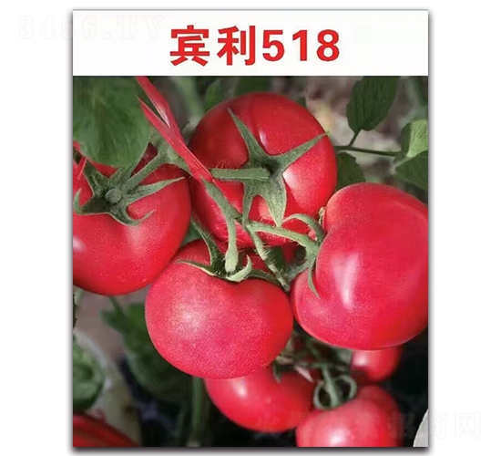 �e��518F1-�۹����ѷN��-Ψ�r(n��ng)�N�I(y��)