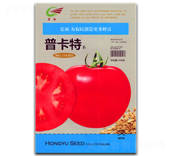 �տ���-���ѷN��-����