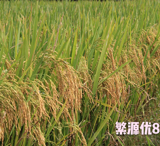 ��Դ��(y��u)886-ˮ���N��-���N�I(y��)