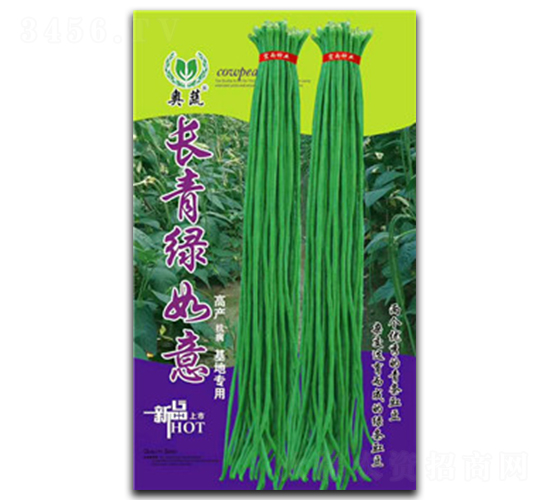 �L(zh��ng)��v����-�����N��-����