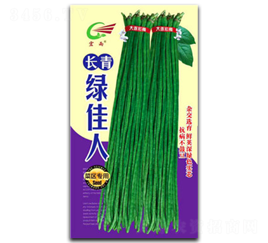 �L(zh��ng)��G����-�����N��-����