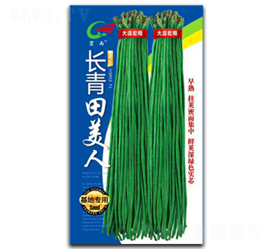 �L��������-�����N��-����