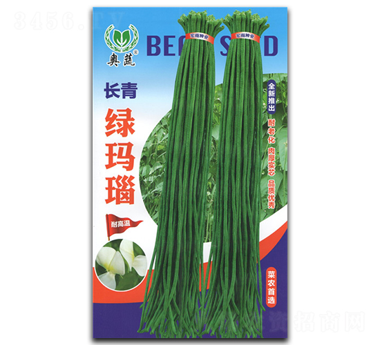 �L��G���-�����N��-����