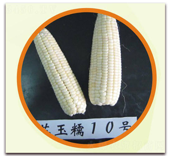 �K��Ŵ10̖-Ŵ���׷N��-�к̷N�I(y��)