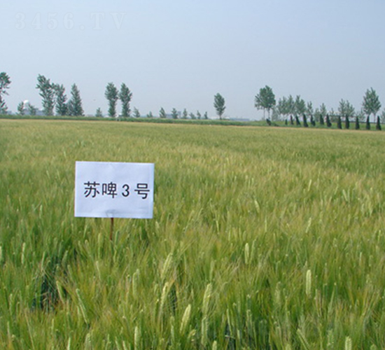 �Kơ3̖-�����N��-�к̷N�I(y��)