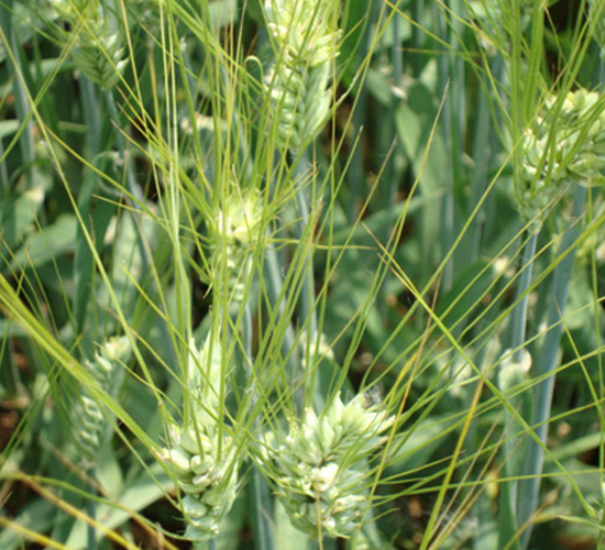 �Kơ6̖-�����N��-�к̷N�I(y��)