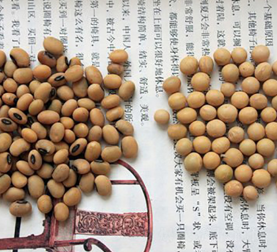 ��9805-�S���N��-�к̷N�I(y��)