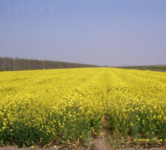 �؃�(y��u)7̖(h��o)-�Ͳ˷N��-�к̷N�I(y��)