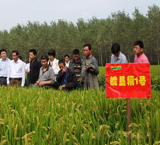 �Ŵ1̖-ˮ���N��-�к̷N�I(y��)