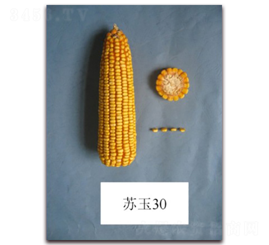 �K��30̖(h��o)-���׷N��-�к̷N�I(y��)