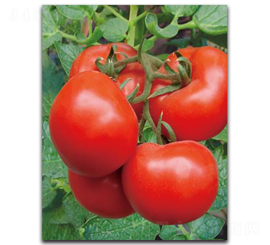 1705-���ѷN��-����