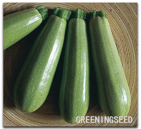 ����-�����J�N��-����