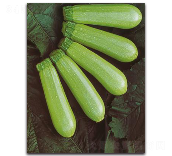 �����w��-�����J�N��-����