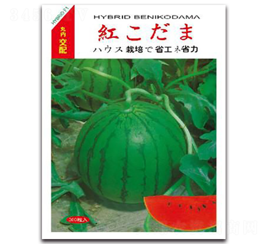 �tС��-���ϷN��-����