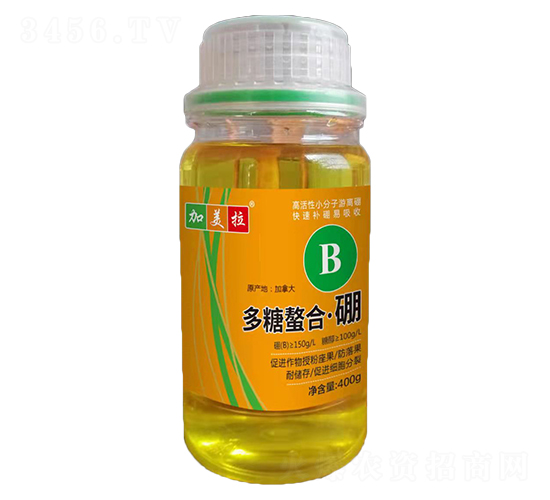 �������ϡ���-������