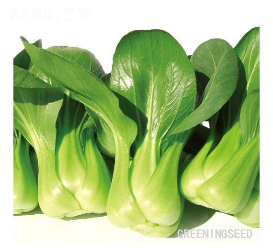 ����-�๣�˷N��-����