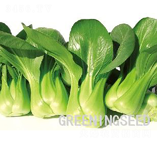 ����-�๣�˷N��-����