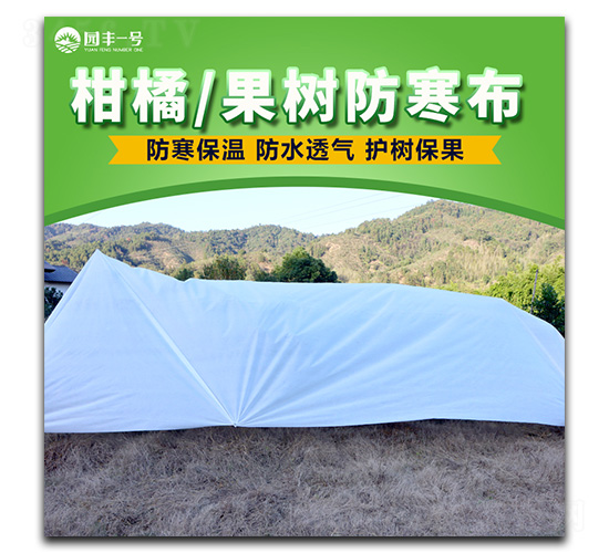 ���ٹ��������-���E�Ƽ�