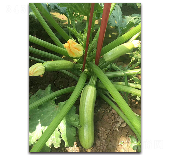 ���G3̖(h��o)-�������ӹ��������J�N��-�r(n��ng)���r(n��ng)�I(y��)