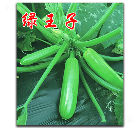 �G����-¶�������J�N��-�r(n��ng)���r(n��ng)�I(y��)