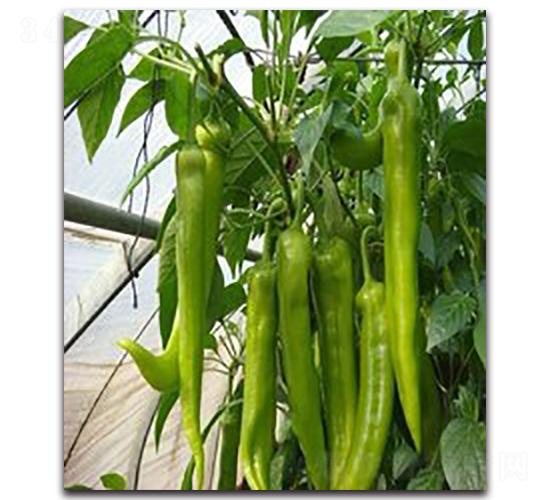 ����2̖-�����N��-�r(n��ng)���r(n��ng)�I(y��)