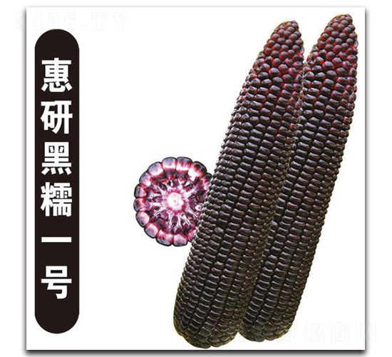 ���к�Ŵһ̖-Ŵ���׷N��-�Є�(chu��ng)���S