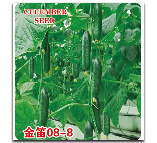 ���08-8-�S�ϷN��-�Є�(chu��ng)���S