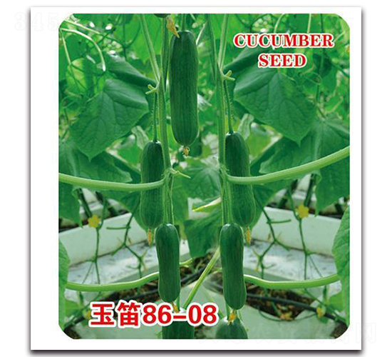 ���86-08-�S�ϷN��-�Є�(chu��ng)���S