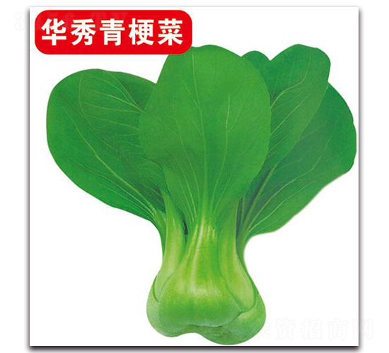 �A���๣��-�ײ˷N��-�Є�(chu��ng)���S