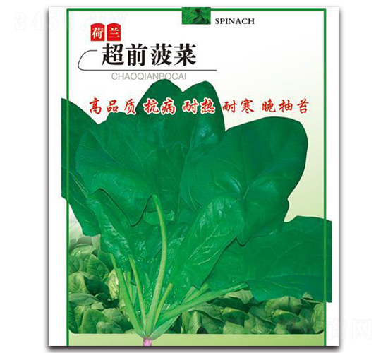 ��ǰ����-���˷N��-�Є�(chu��ng)���S