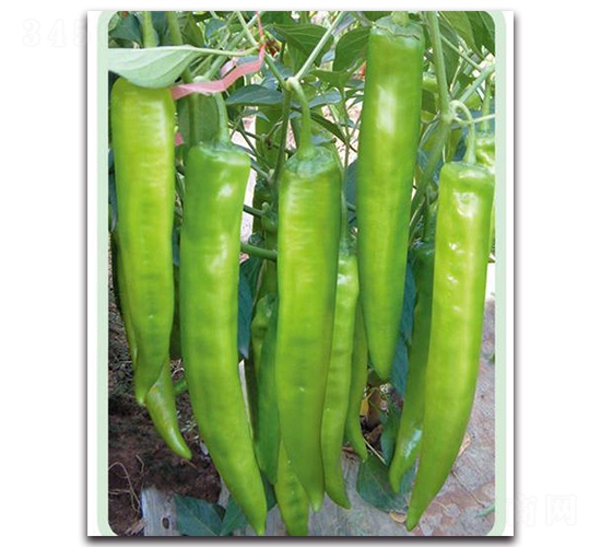 ����668-�����N��-�Є�(chu��ng)���S